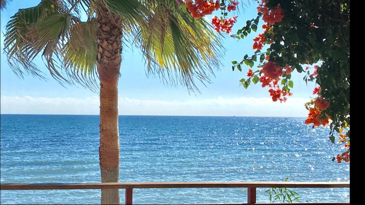 Mi Capricho 4C Beachfront -Apartment With Sea View - Costa Del Sol Sitio de Calahonda Екстер'єр фото